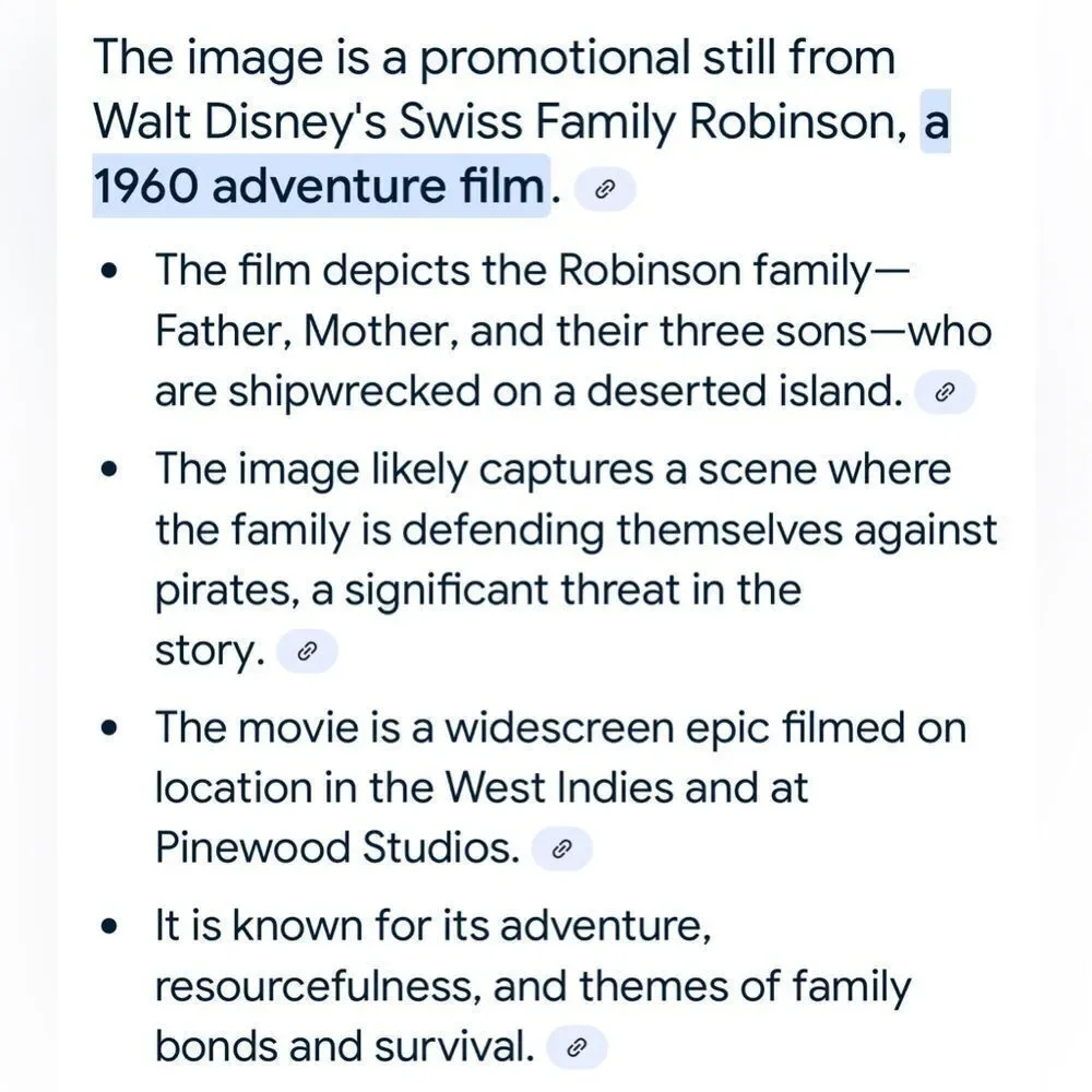 Walt Disney Swiss Family Robinson 11 X 14 In Framed Wall Art 1968 Technicolor